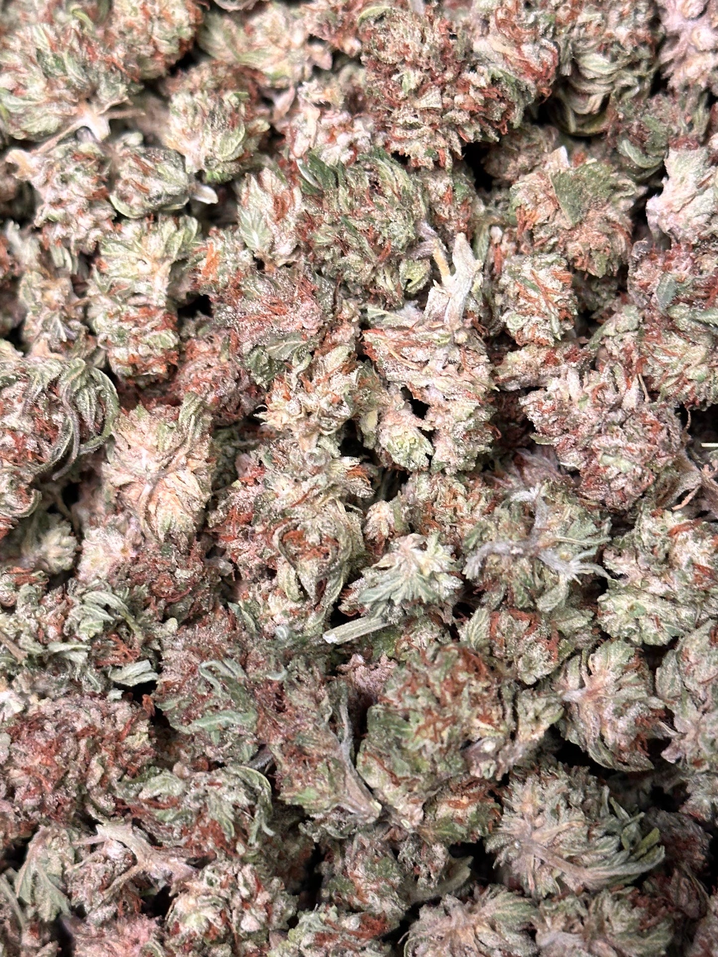 Guava THCA Flower